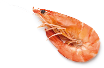 produkt