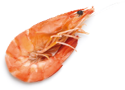 produkt