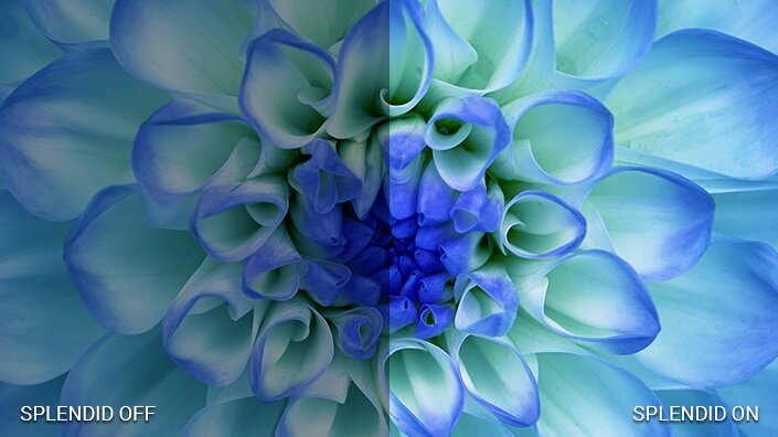 Monitor ASUS VA249HE - SplendidPlus Video Intelligence 