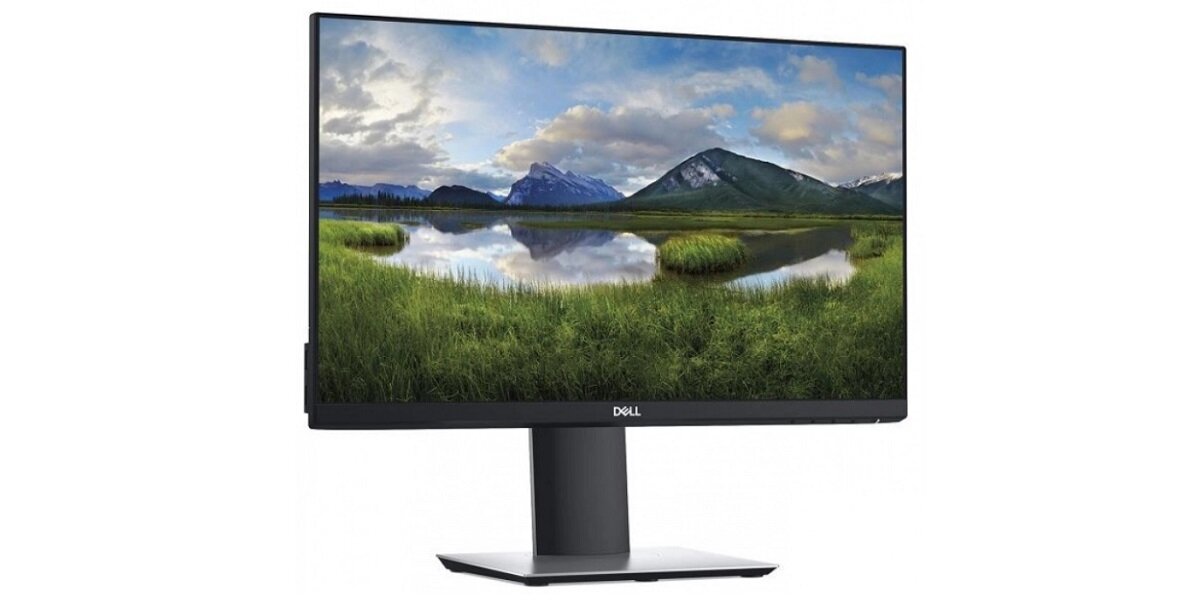 Monitor DELL P2319H Ekran 24 cale