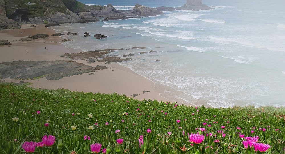 aparat panasonic lumix dmc g7 automat