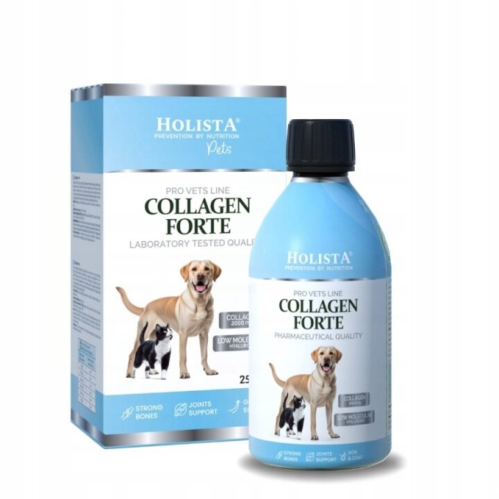 Na obrazie widoczna jest butelka i pudełko produktu \'Holista Collagen Forte\' z wizerunkiem psa i kota. Na opakowaniu znajdują się napisy: \'PRO VETS LINE COLLAGEN FORTE LABORATORY TESTED QUALITY\' oraz \'PHARMACEUTICAL QUALITY\'.