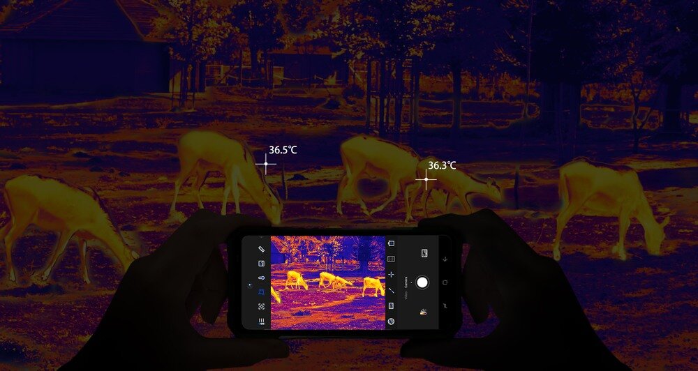 Osoba trzyma smartfon z włączoną kamerą termowizyjną, na ekranie widać zwierzęta z oznaczeniami temperatury 36.5°C i 36.3°C. W tle widoczne są te same zwierzęta w ciemnym otoczeniu, z wyraźnymi kolorami termowizyjnymi.