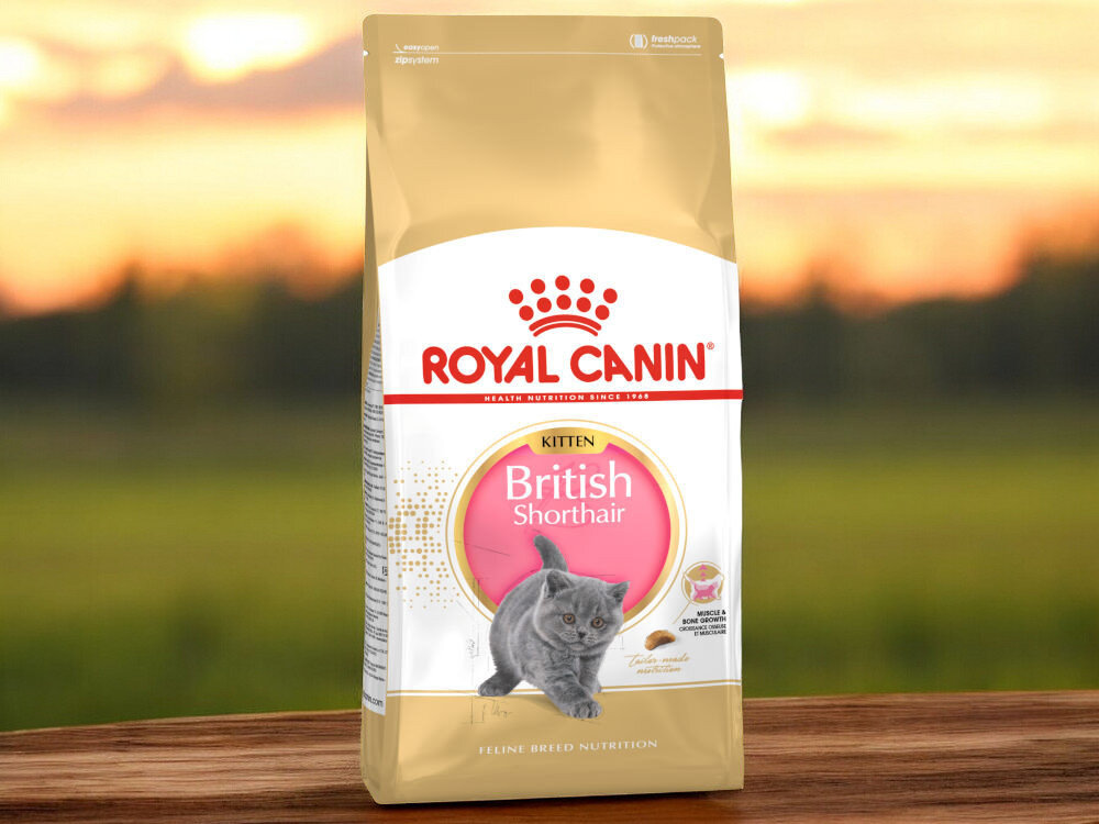 Karma dla kota ROYAL CANIN FBN British Shorthair Kitten 10 kg naturalne składniki