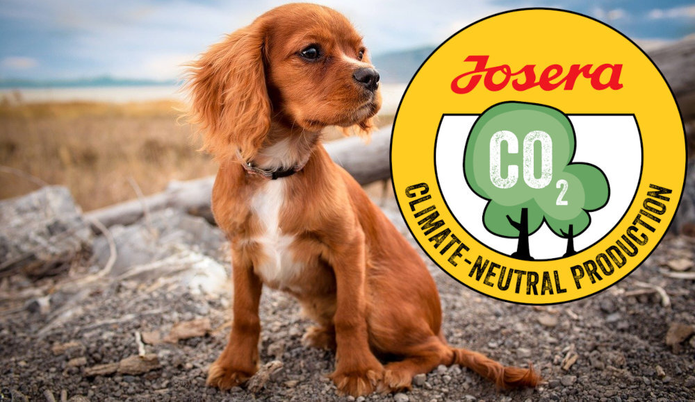 Karma dla psa JOSERA Kids Drób 15 kg naturalne składniki wielkość krokietów