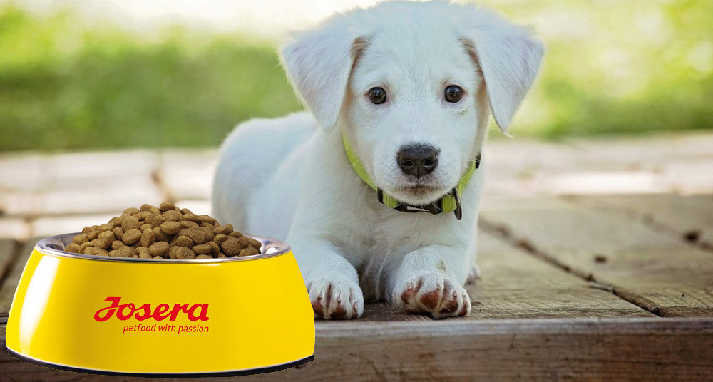 Karma dla psa JOSERA Kids Drób 15 kg witaminy pierwiastki aminokwasy