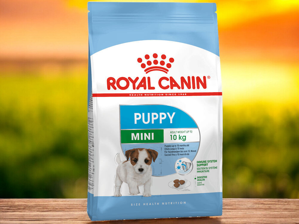 Karma dla psa ROYAL CANIN Mini Puppy Junior 8 kg naturalne składniki opakowanie na tle łąki