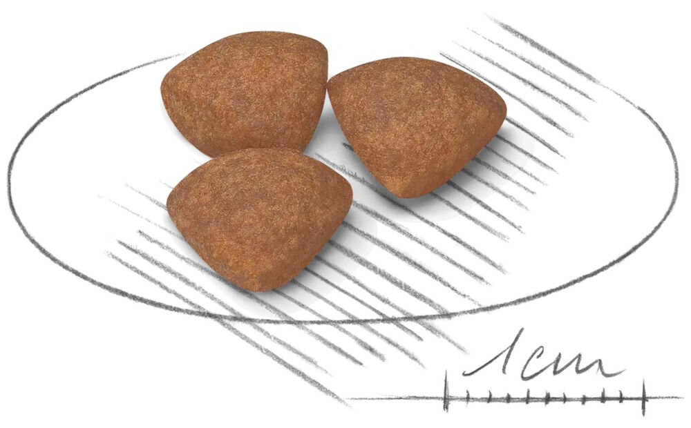 Karma dla psa ROYAL CANIN Mini Puppy Junior 8 kg naturalne składniki grafika z krokietem mniejszym niż 1 cm