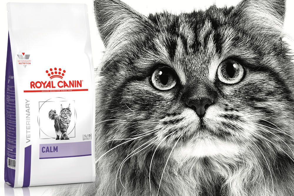 Karma dla kota ROYAL CANIN Calm 2 kg naturalne składniki