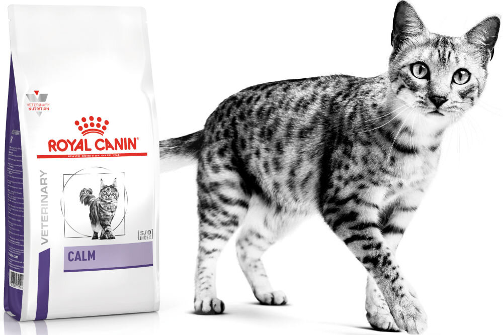 Karma dla kota ROYAL CANIN Calm 2 kg witaminy pierwiastki aminokwasy