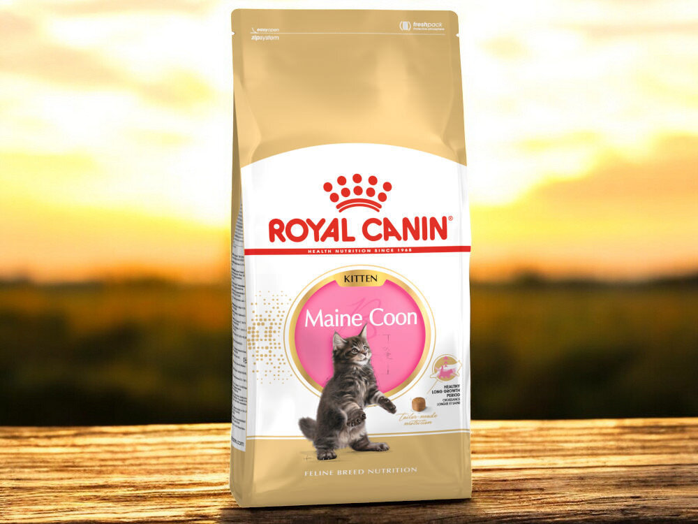 Karma dla kota ROYAL CANIN Maine Coon Kitten 10 kg naturalne składniki opakowanie na tle łąki