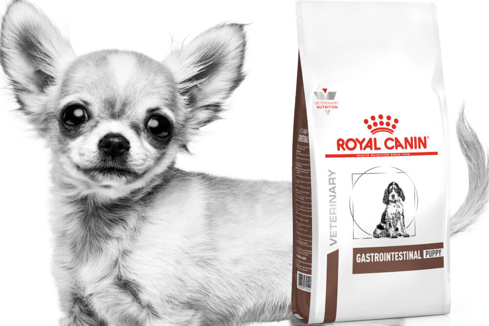 Karma dla psa ROYAL CANIN Gastrointestinal Puppy 2,5 kg witaminy pierwiastki aminokwasy