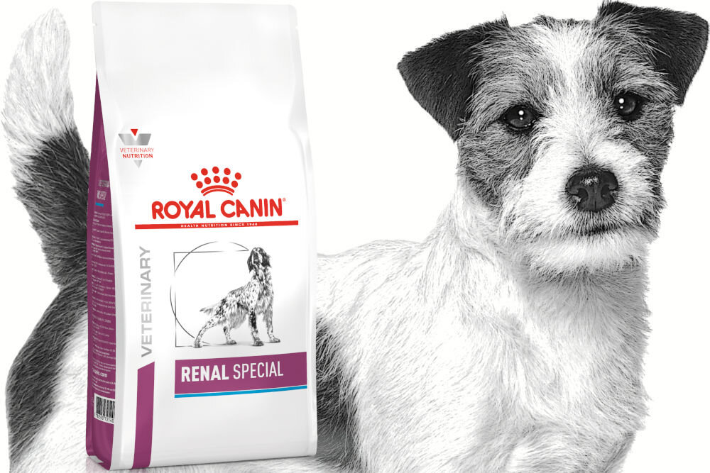 Karma dla psa ROYAL CANIN Renal Special 2 kg naturalne składniki