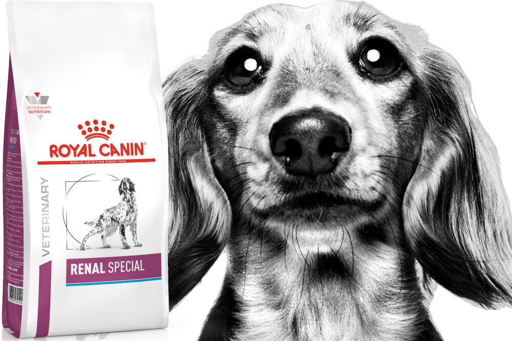 Karma dla psa ROYAL CANIN Renal Special 2 kg witaminy pierwiastki aminokwasy