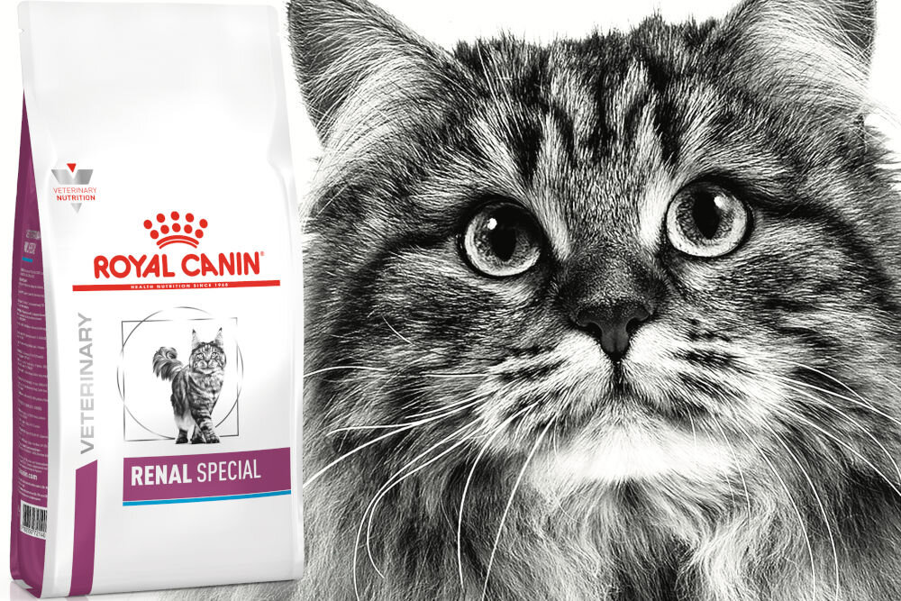 Karma dla kota ROYAL CANIN Renal Special 2 kg naturalne składniki