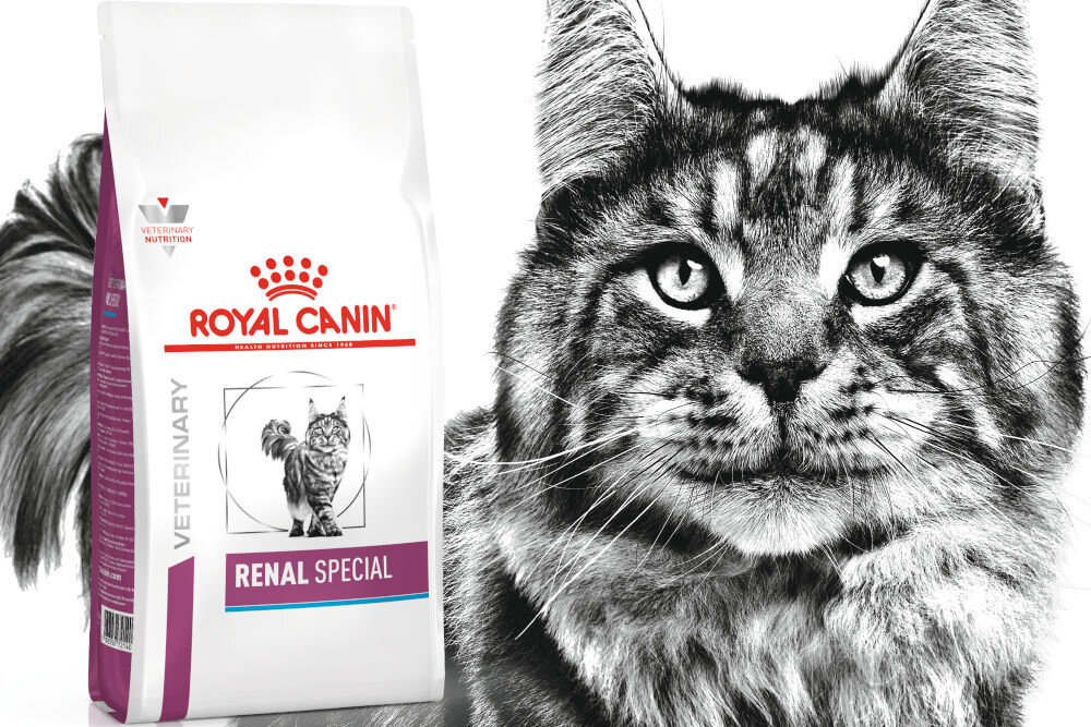 Karma dla kota ROYAL CANIN Renal Special 2 kg dawkowanie analiza sklad