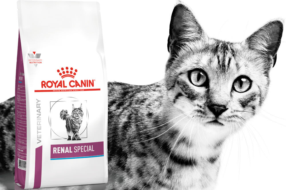Karma dla kota ROYAL CANIN Renal Special 2 kg witaminy pierwiastki aminokwasy
