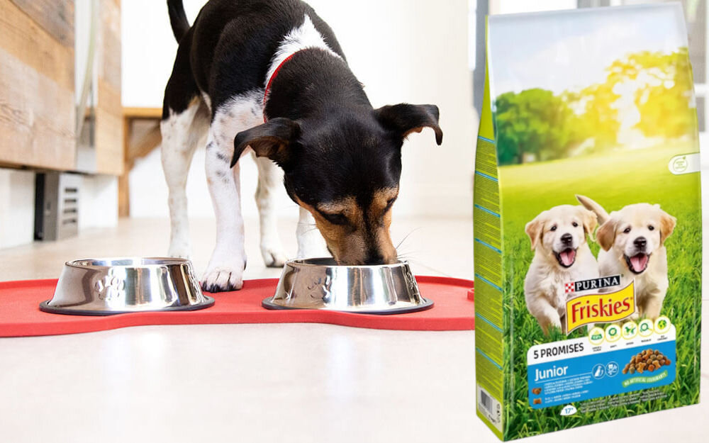 FRISKIES Junior Vitafit Kurczak z warzywami 15 kg Przysmak dla psa PEDIGREE Markies 500 g Karma dla psa niskie ceny i opinie w Media Expert