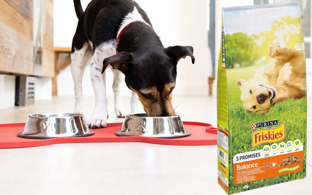 Karma dla psa FRISKIES Balance Kurczakiem z warzywami 15 kg witaminy zdrowie