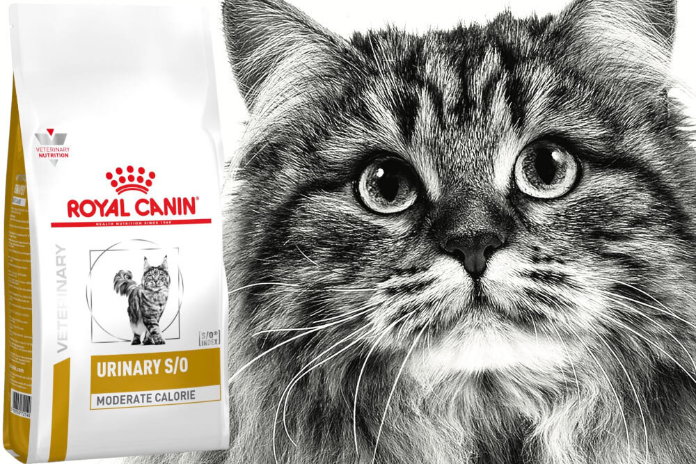 Karma dla kota ROYAL CANIN Urinary S/O Moderate Calorie 9 kg naturalne składniki
