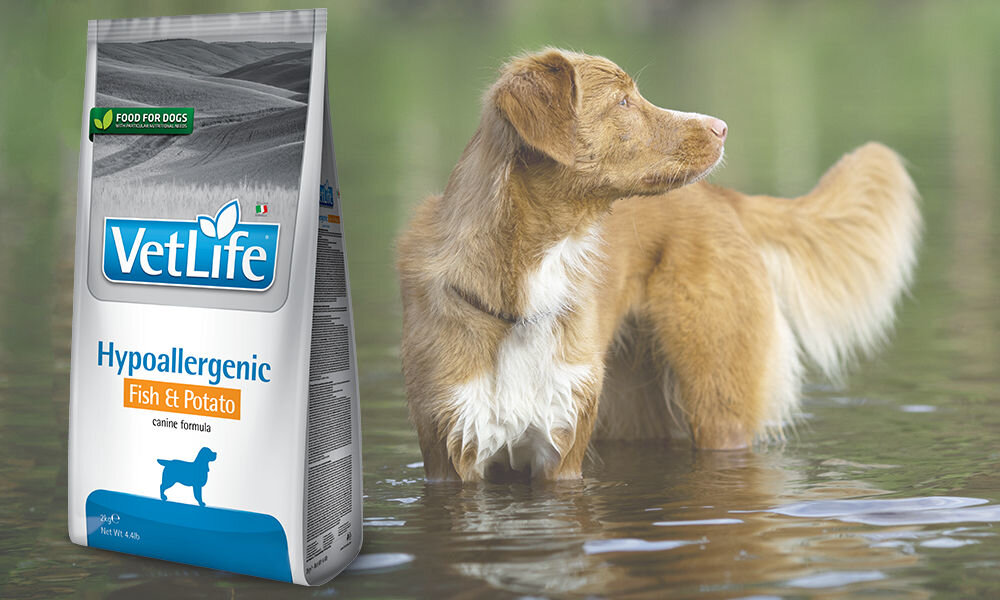 Karma dla psa FARMINA Vet Life Hypoallergenic Fish & Potato 12 kg dawkowanie analiza sklad