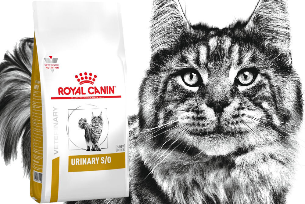 Karma dla kota ROYAL CANIN Urinary S/O 1,5 kg dawkowanie analiza sklad