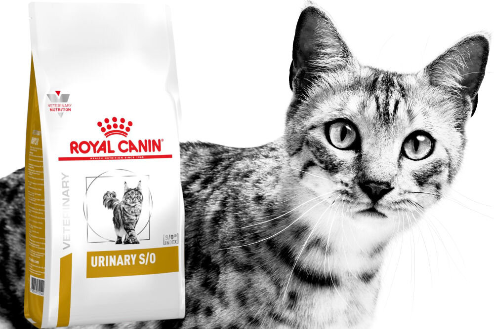Karma dla kota ROYAL CANIN Urinary S/O 1,5 kg witaminy pierwiastki aminokwasy