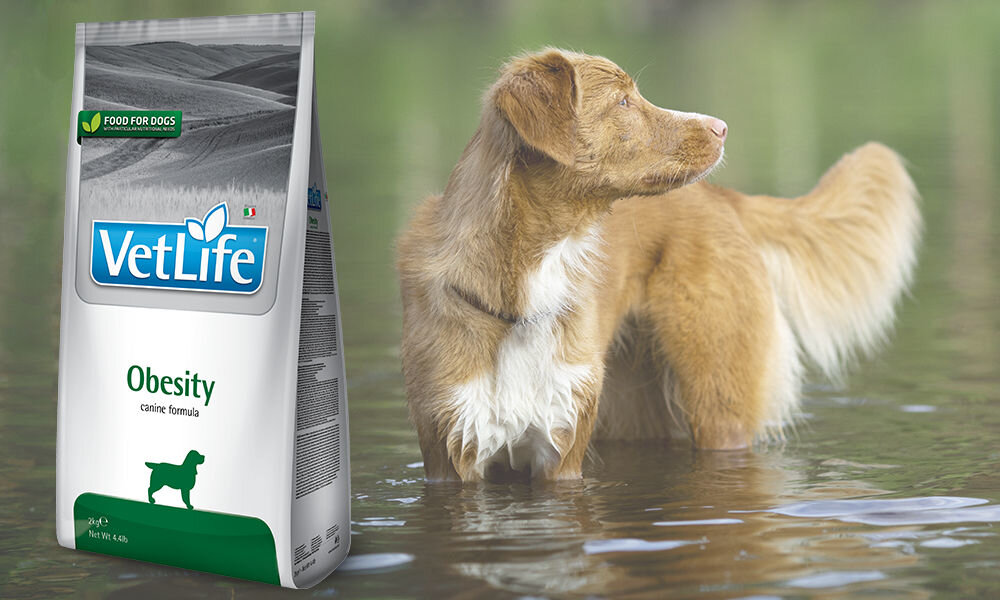 Karma dla psa FARMINA Vet Life Obesity 12 kg dawkowanie analiza sklad