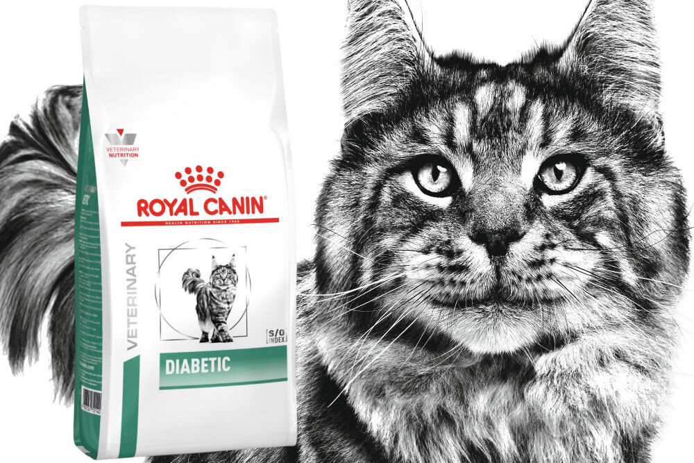 Karma dla kota ROYAL CANIN Diabetic 1,5 kg dawkowanie analiza sklad