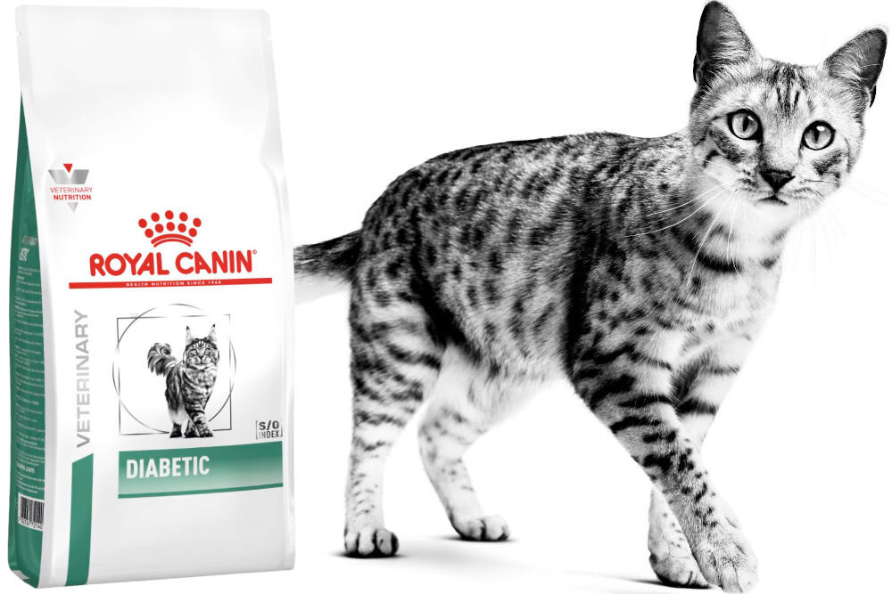 Karma dla kota ROYAL CANIN Diabetic 1,5 kg witaminy pierwiastki aminokwasy