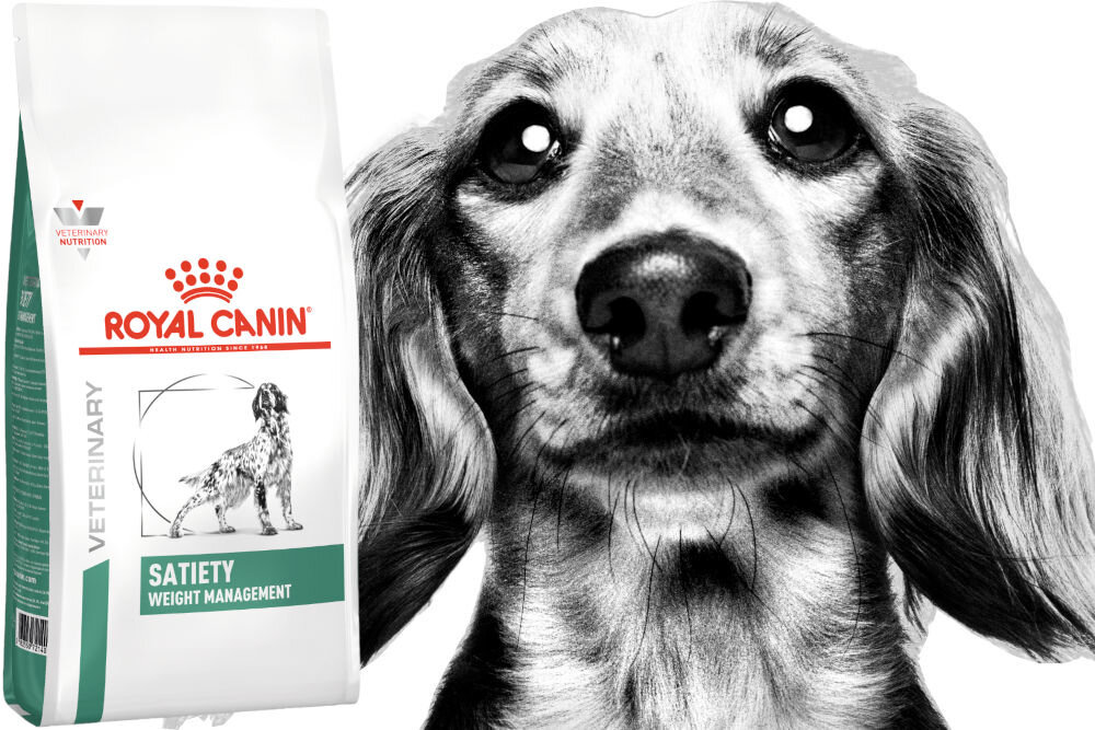 Karma dla psa ROYAL CANIN Satiety Weight Management 1,5 kg witaminy pierwiastki aminokwasy