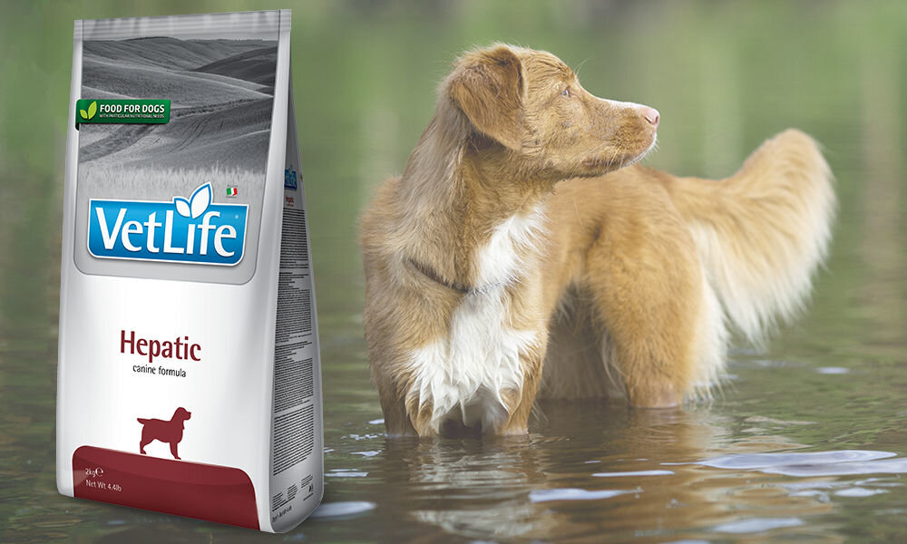 Karma dla psa FARMINA Vet Life Hepatic 12 kg dawkowanie analiza sklad