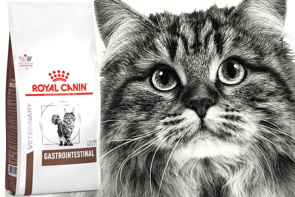 Karma dla kota ROYAL CANIN Gastrointestinal 4 kg naturalne składniki