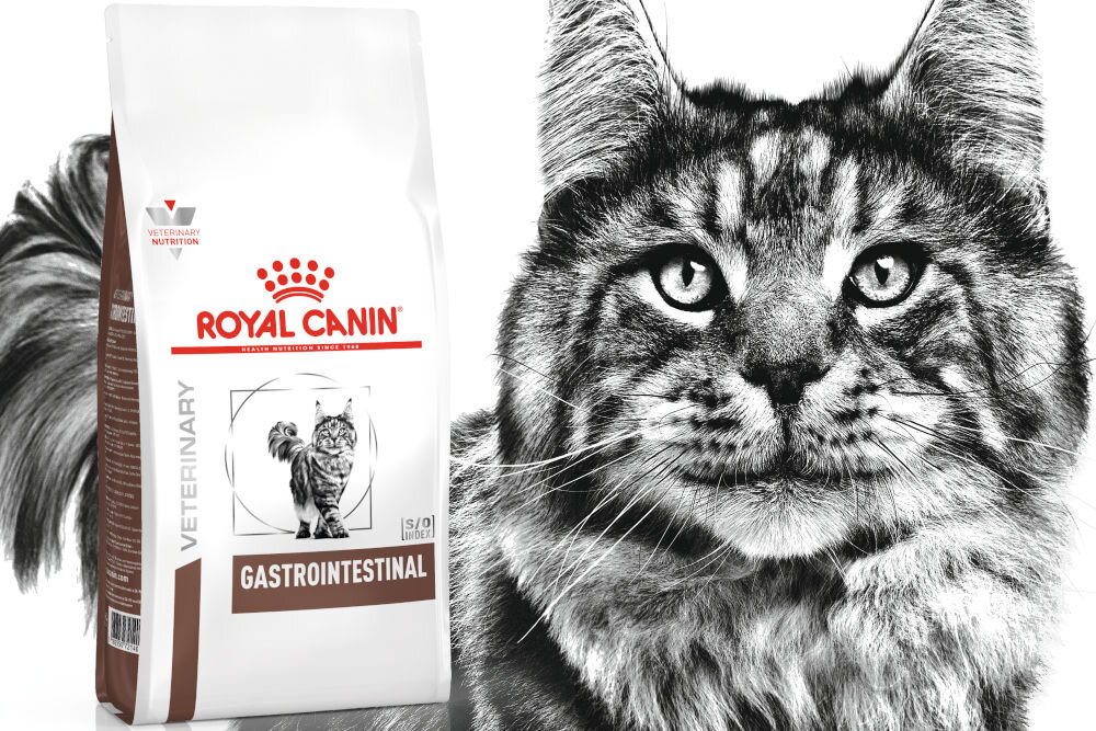 Karma dla kota ROYAL CANIN Gastrointestinal 4 kg dawkowanie analiza sklad
