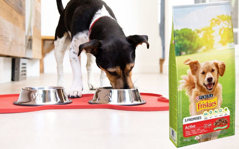 Karma dla psa FRISKIES Active Wołowina 10 kg witaminy zdrowie