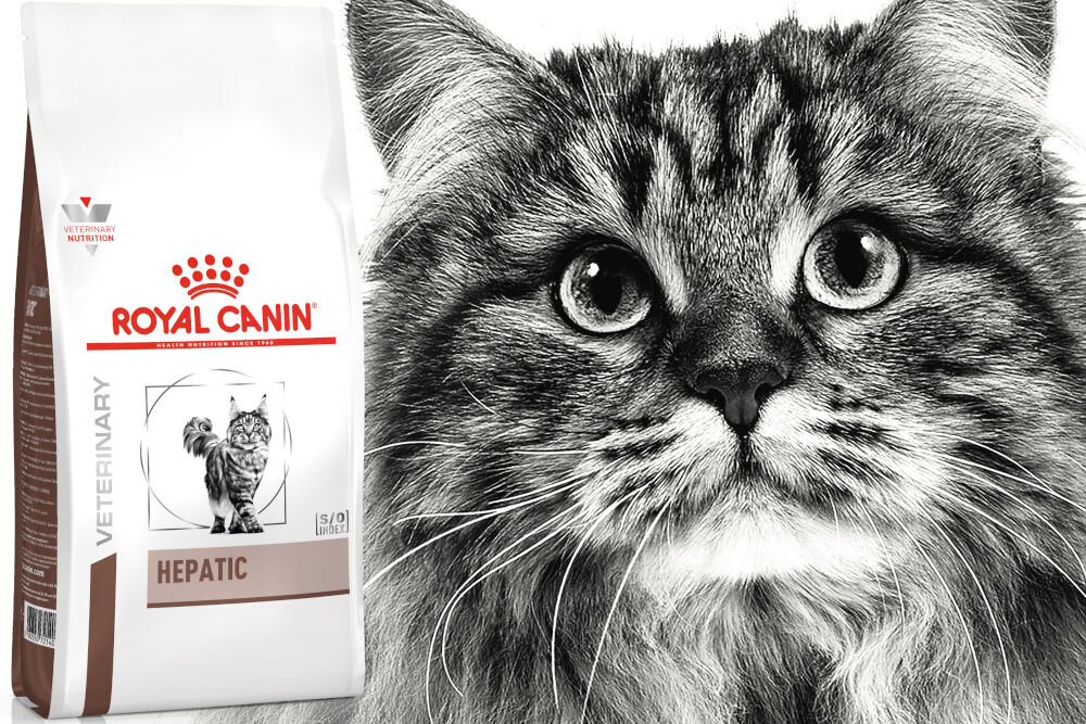 Karma dla kota ROYAL CANIN Hepatic 2 kg naturalne składniki