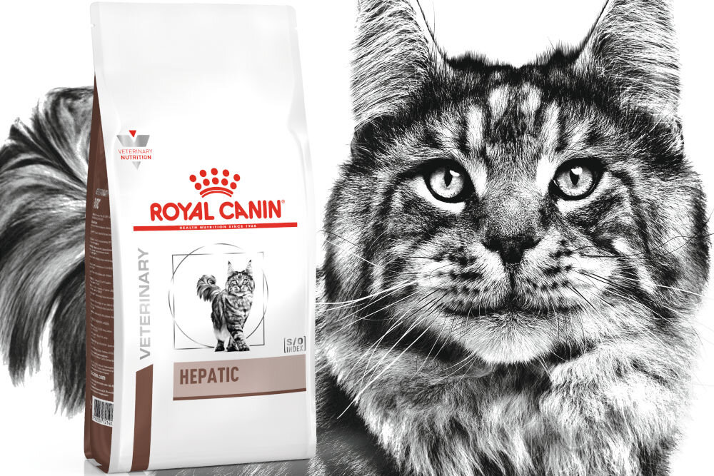 Karma dla kota ROYAL CANIN Hepatic 2 kg dawkowanie analiza sklad