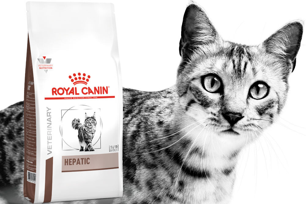 Karma dla kota ROYAL CANIN Hepatic 2 kg witaminy pierwiastki aminokwasy