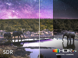 Obraz przedstawia porównanie jakości obrazu z technologią SDR i HDR10+, z widocznymi słoniami przy wodopoju pod gwiaździstym niebem. Po lewej stronie widoczny jest napis \'SDR\', a po prawej logo \'HDR10+ ADAPTIVE / GAMING\'.
