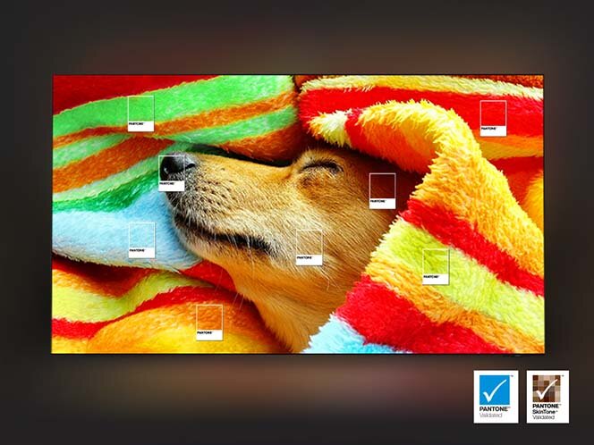 Obraz przedstawia psa śpiącego w kolorowych kocach z oznaczeniami kolorów Pantone. W prawym dolnym rogu znajdują się dwa loga Pantone Validated i Pantone SkinTone Validated.
