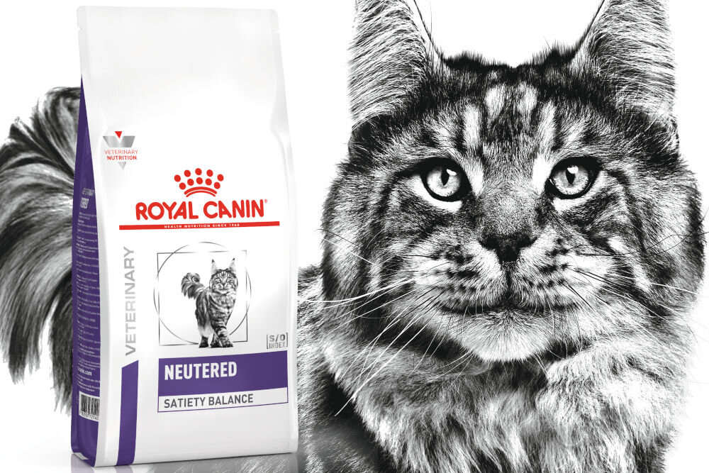 Karma dla kota ROYAL CANIN Neutered Satiety Balance 3,5 kg dawkowanie analiza sklad