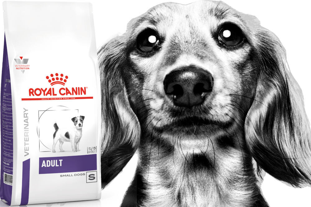 Karma dla psa ROYAL CANIN Adult Small Dog 2 kg naturalne składniki