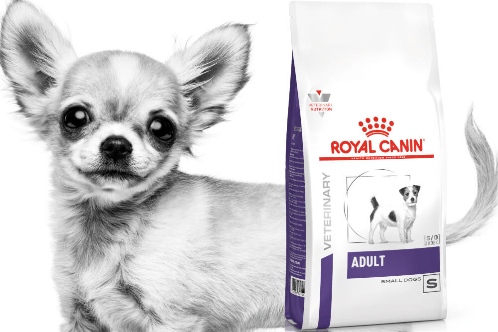 Karma dla psa ROYAL CANIN Adult Small Dog 2 kg dawkowanie analiza sklad