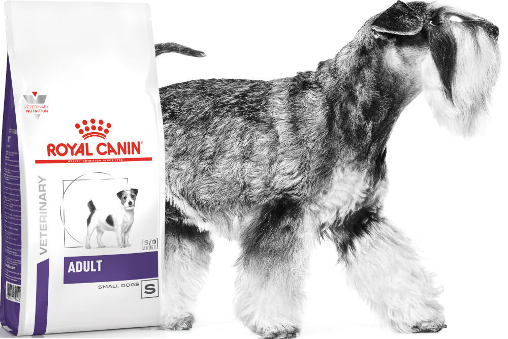 Karma dla psa ROYAL CANIN Adult Small Dog 2 kg witaminy pierwiastki aminokwasy