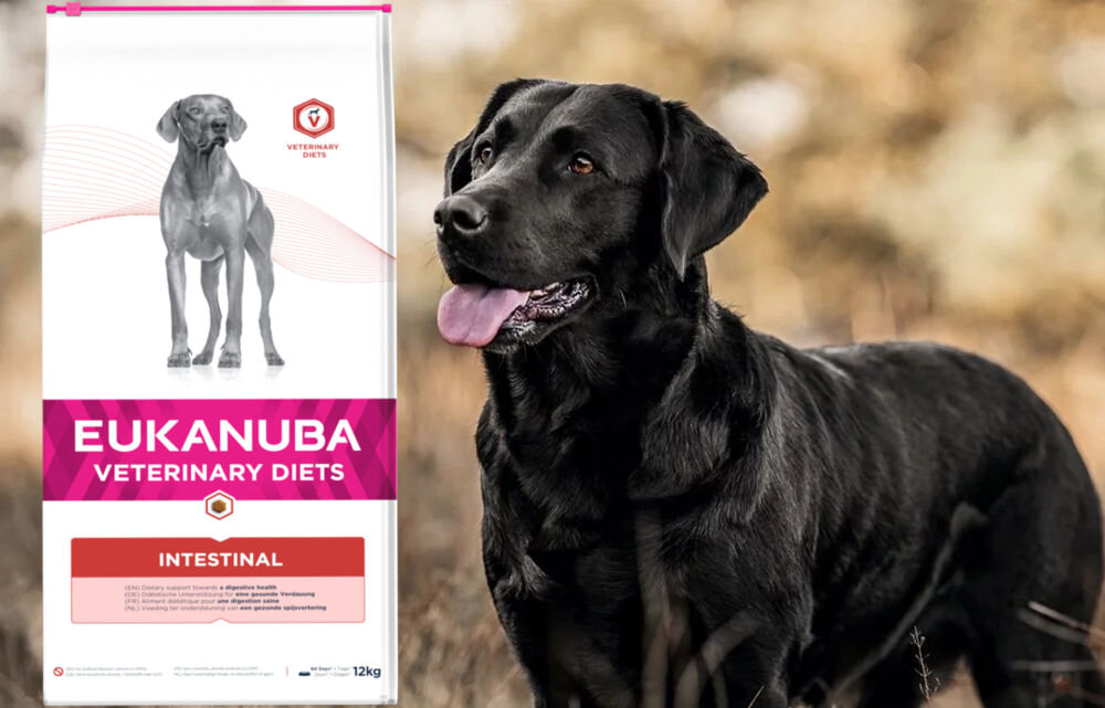 Karma dla psa EUKANUBA VD Intestinal Disorders Dog Adult Kurczak 12 kg dawkowanie analiza sklad