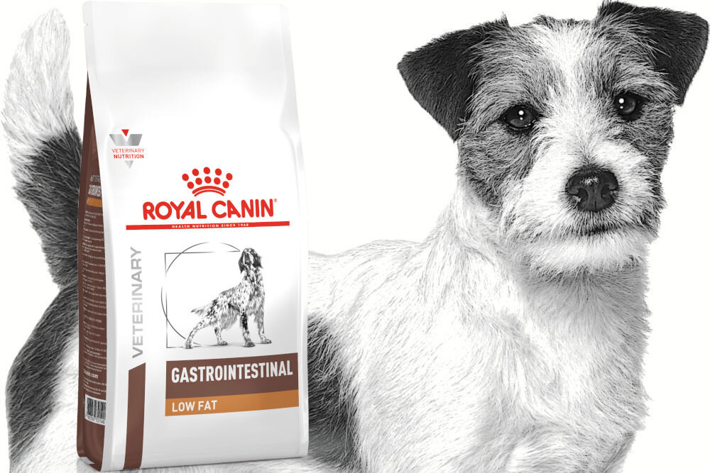 Karma dla psa ROYAL CANIN Gastrointestinal Low Fat 1,5 kg naturalne składniki