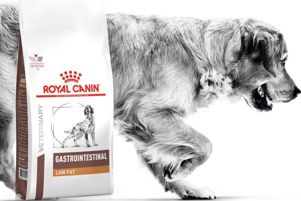 Karma dla psa ROYAL CANIN Gastrointestinal Low Fat 1,5 kg dawkowanie analiza sklad