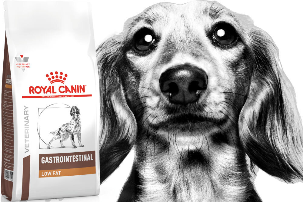 Karma dla psa ROYAL CANIN Gastrointestinal Low Fat 1,5 kg witaminy pierwiastki aminokwasy