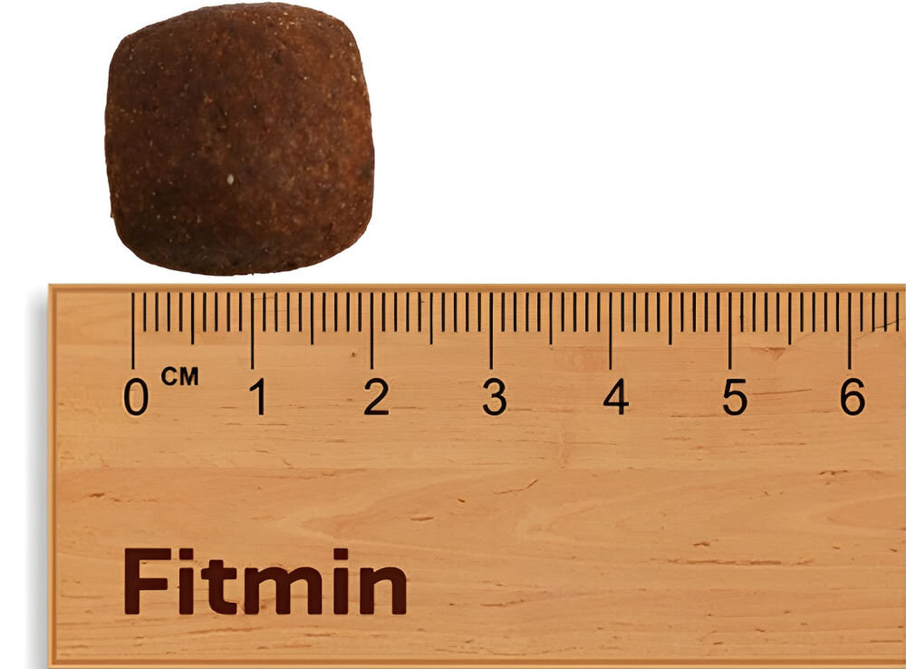Karma dla psa FITMIN Dog For Life Adult Large Breeds 3 kg wielkość chrupki 2 cm na miarce