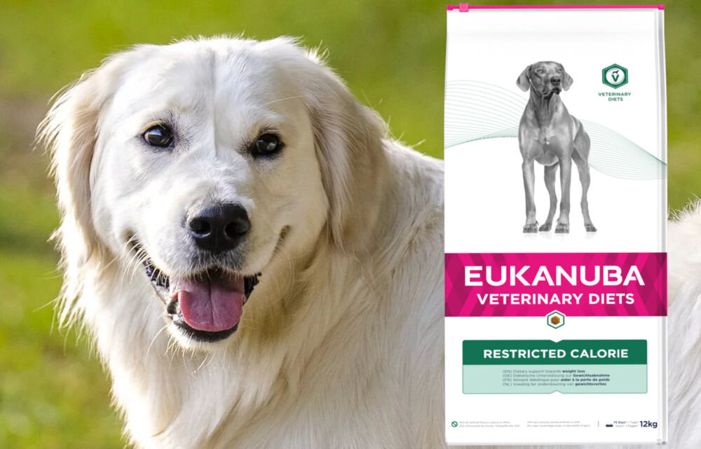 Karma dla psa EUKANUBA Veterinary Diets Restricted Calorie Kurczak 5 kg dawkowanie analiza sklad